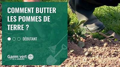 Comment Butter Pomme De Terre?