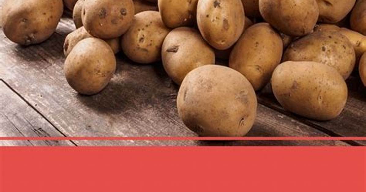 Comment Conserver Des Pomme De Terre?