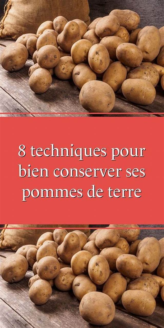 Comment Conserver Des Pomme De Terre?
