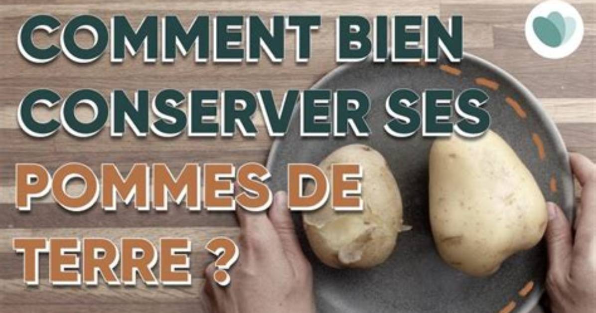 Comment Conserver Pomme Coup%C3%A9E 400. Jpg