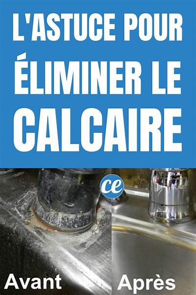Comment Enlever Le Calcaire D’une Pomme De Douche?