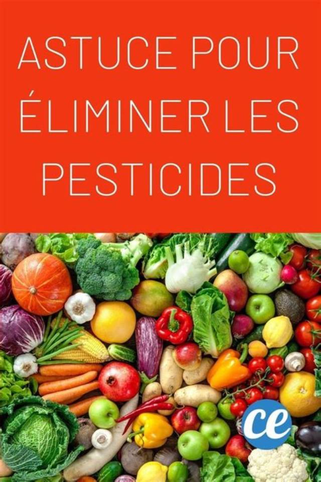 Comment Enlever Les Pesticides Des Fruits Et Legumes?