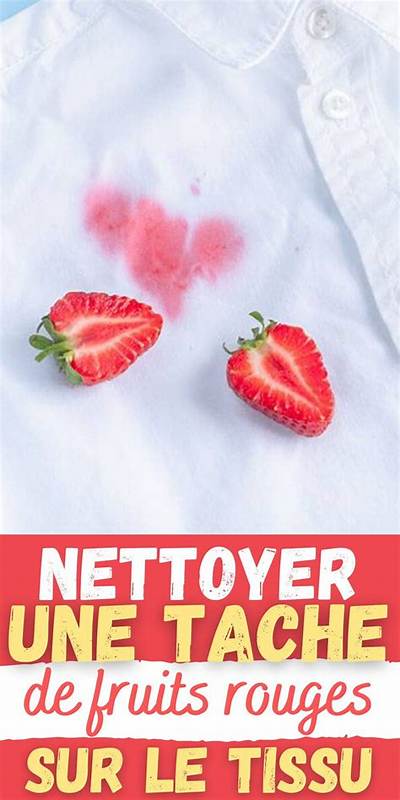 Comment Enlever Une Tache De Fruits Rouges?
