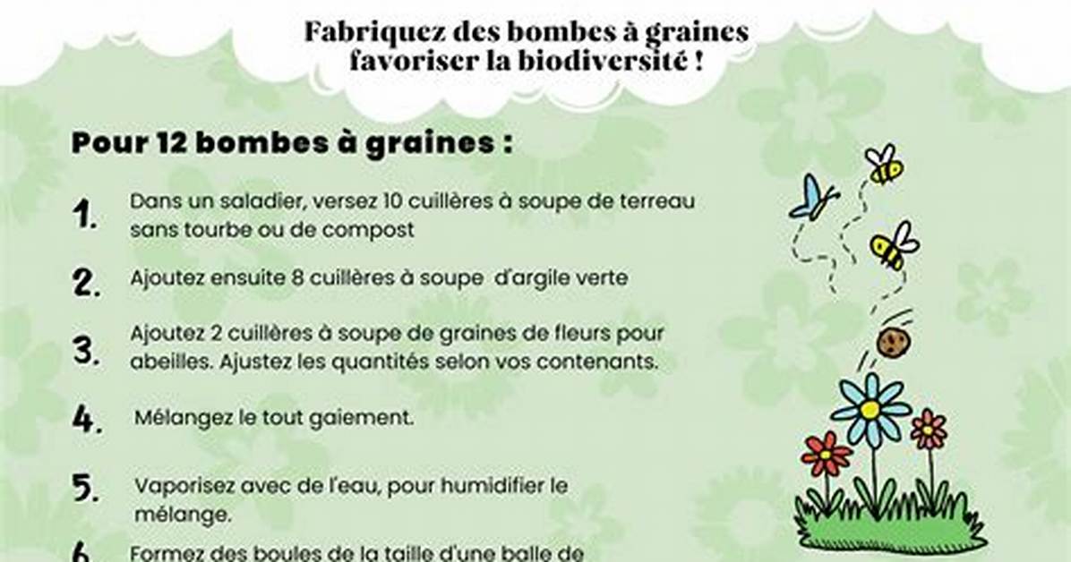 Comment Fabriquer Des Graines De K%C3%A9Fir De 1200. Jpg