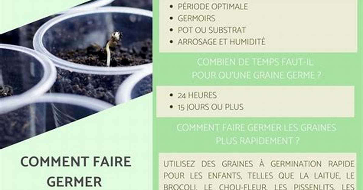 Comment Faire Germer Des Graines De Pomme De Pin?