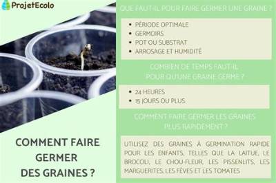 Comment Faire Germer Des Graines De Pomme De Pin?