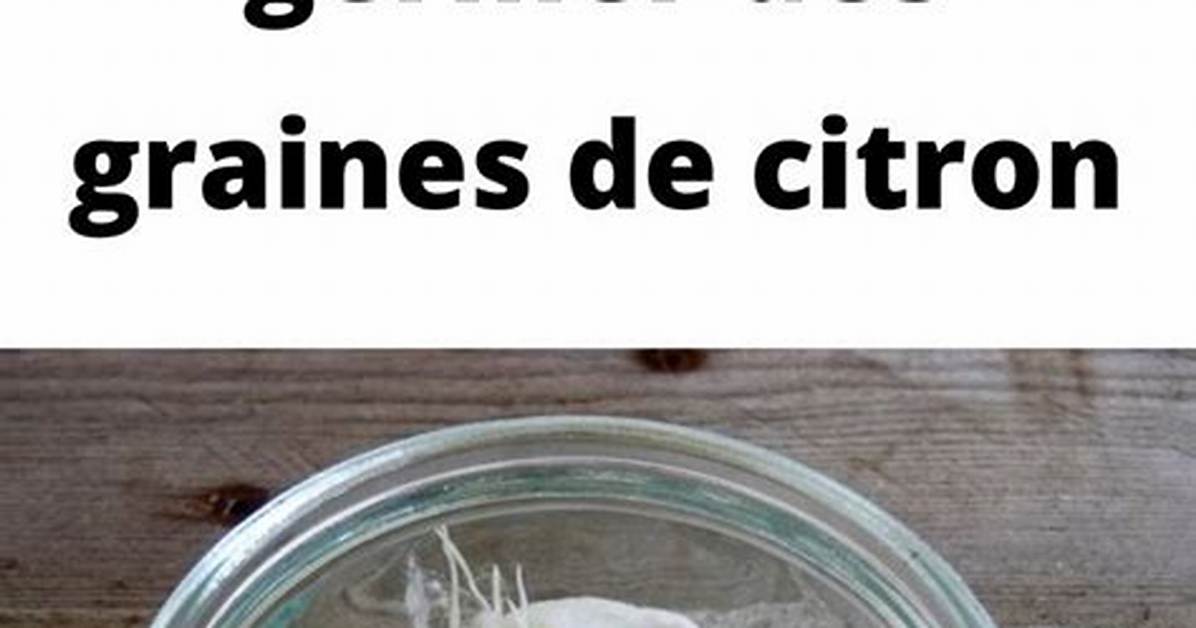Comment Faire Germer Des P%C3%A9Pins De Pomme 300. Jpg