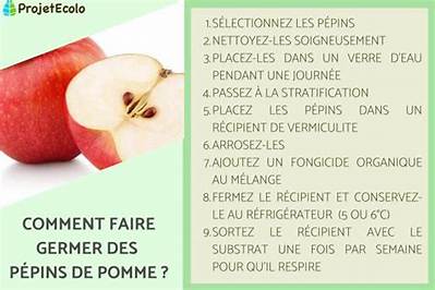 Comment Faire Germer Une Graine De Pomme?
