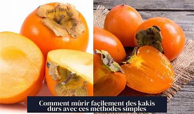 Comment Faire Murir Des Kaki Pomme?