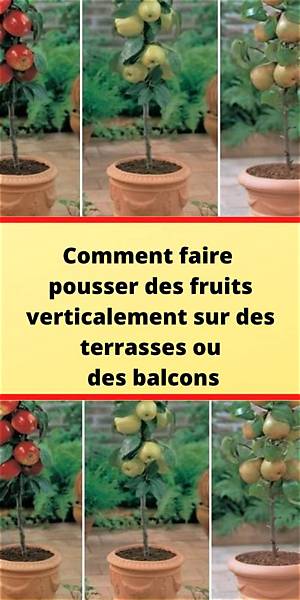 Comment Faire Pousser Des Fruits?