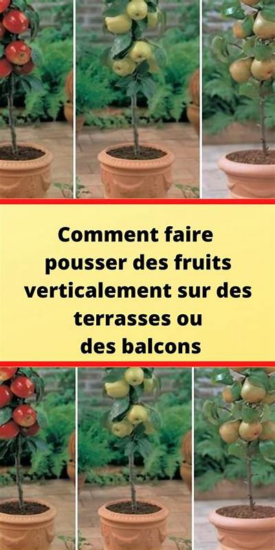 Comment Faire Pousser Des Fruits?