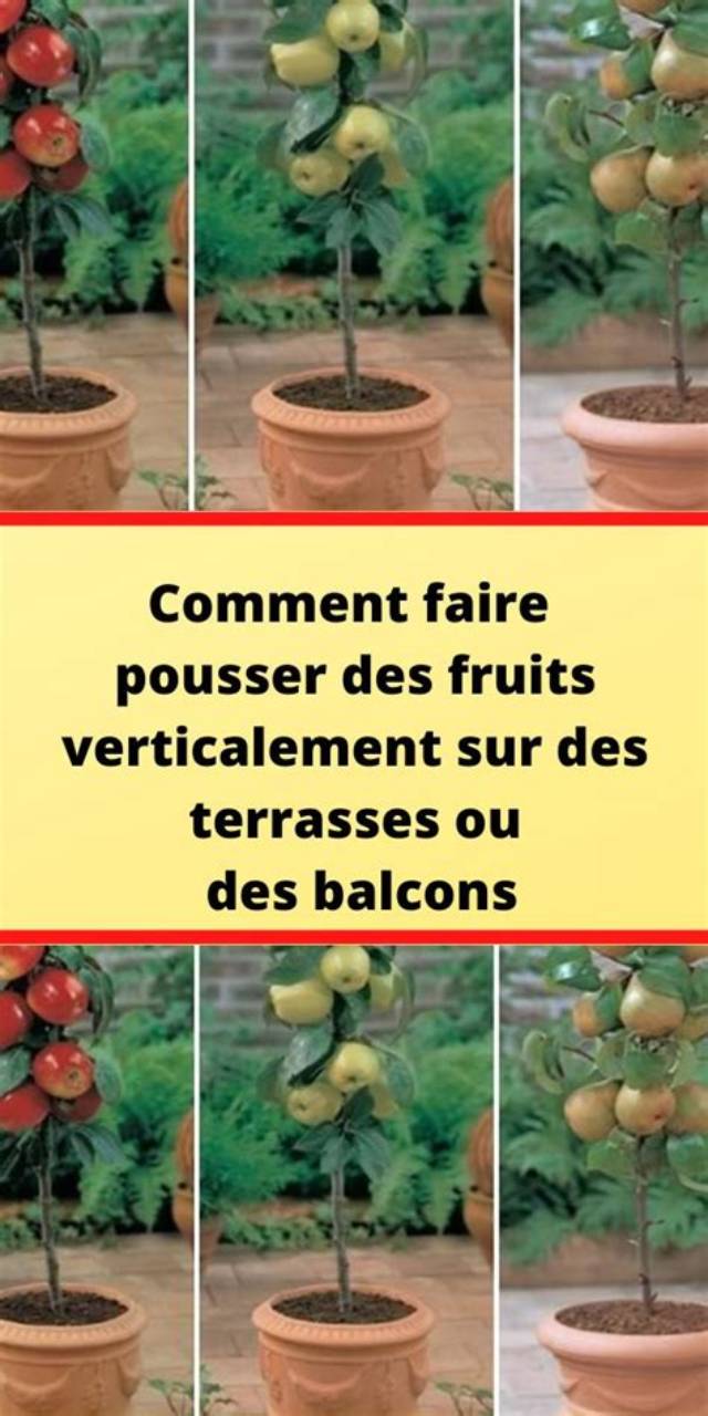 Comment Faire Pousser Des Fruits?