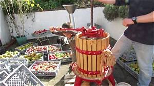 Comment Faire Son Jus De Pomme?