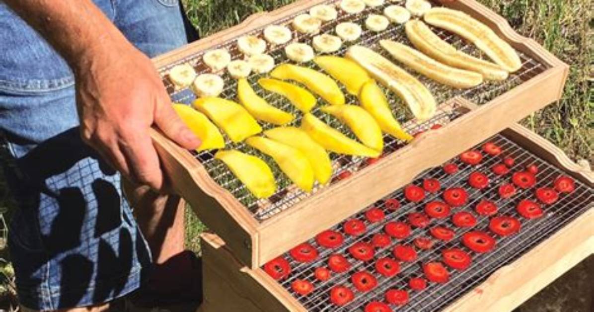 Comment Faire Tenir Des Fruits Sur Un Gateau?