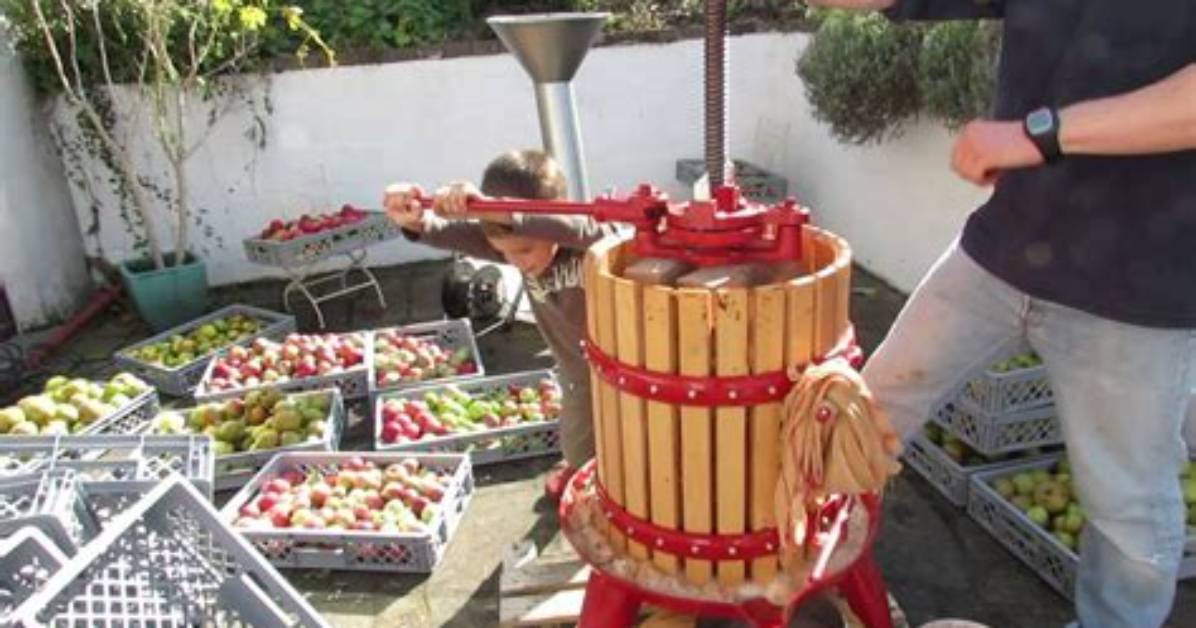 Comment Faire Un Pressoir a Pomme?