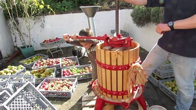 Comment Faire Un Pressoir a Pomme?