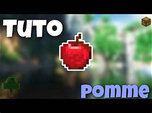 Comment Faire Une Pomme De Notch Minecraft?