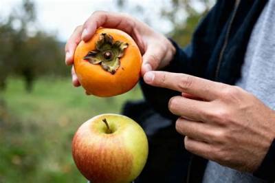 Comment Manger Kaki Pomme?
