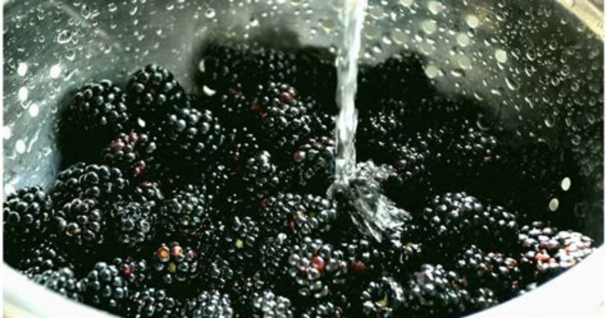 Comment Nettoyer Les Mures Fruits?