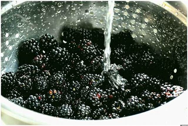 Comment Nettoyer Les Mures Fruits?