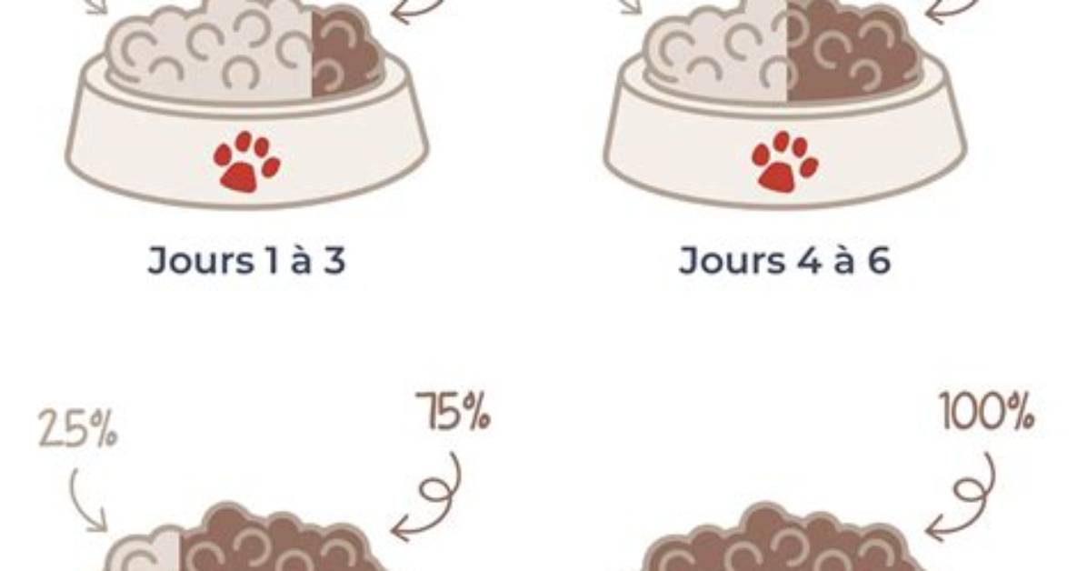 Comment R%C3%A9Chauffer Des Croquettes De Pomme De 1200. Jpg