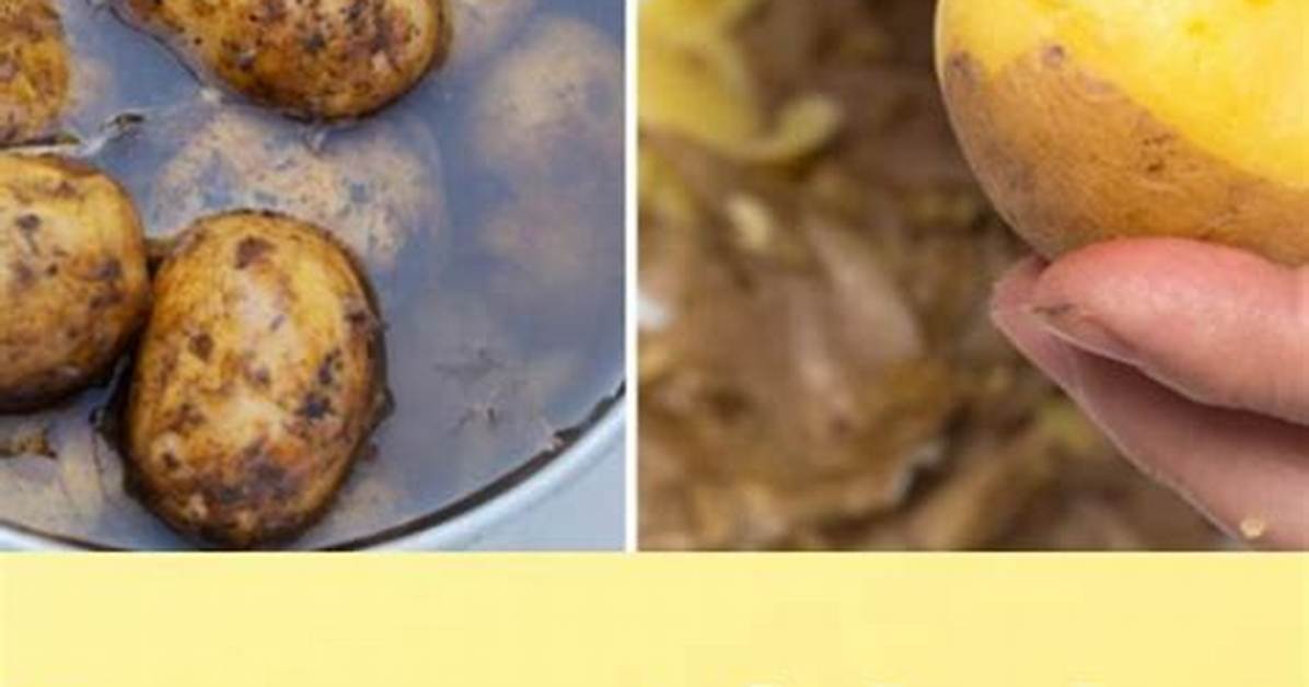 Comment Vider Une Pomme De Terre?