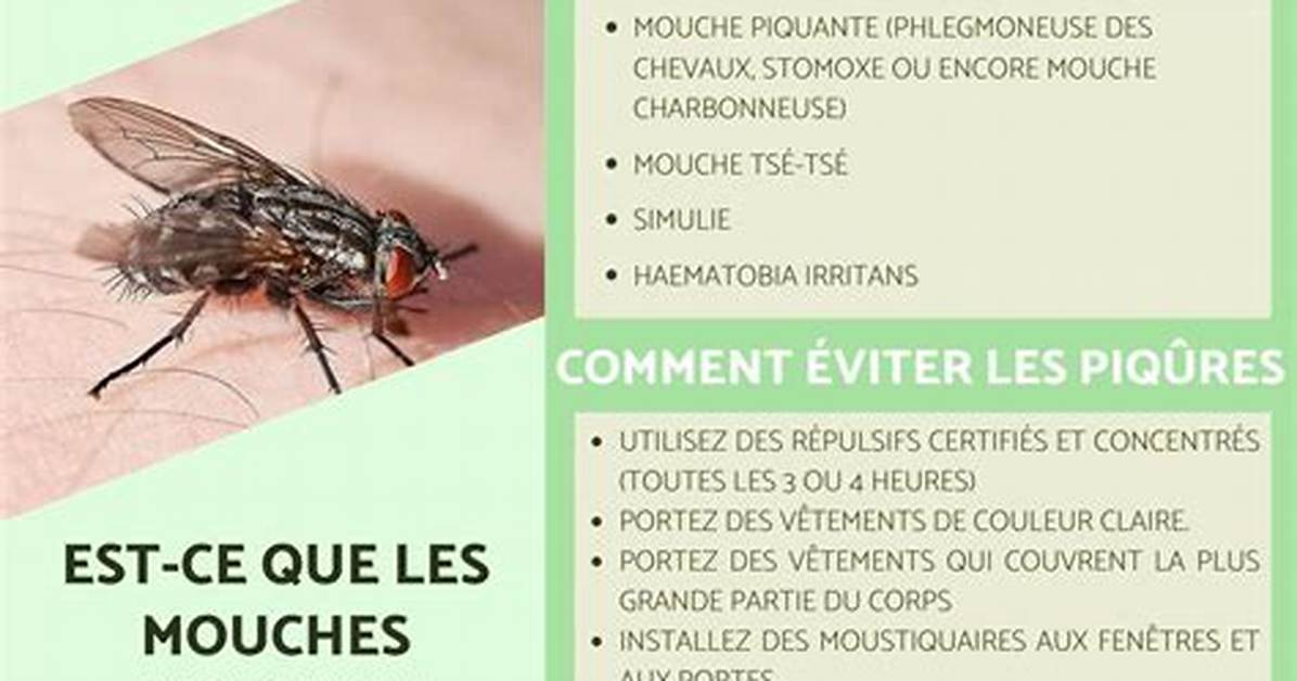 D O%C3%B9 Viennent Les Mouches %C3%80 Fruits 400. Jpg