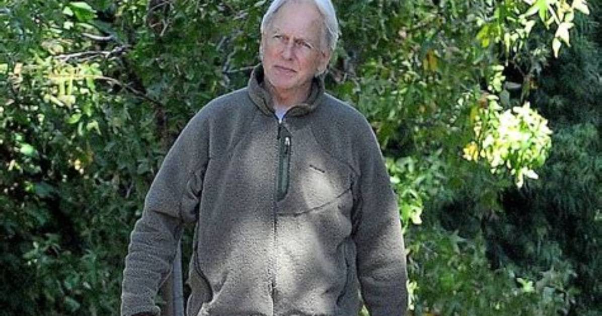 Details of Mark Harmon's Wellness Journey Are Revealed in Mark Harmon Health.