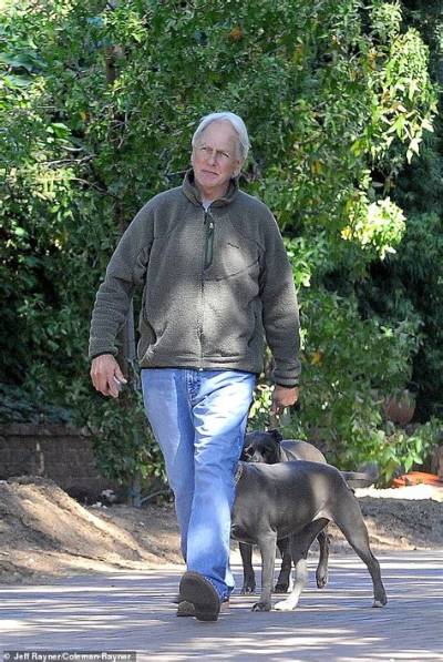Details of Mark Harmon's Wellness Journey Are Revealed in Mark Harmon Health.