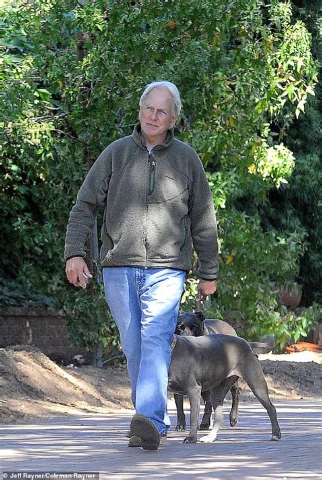Details of Mark Harmon's Wellness Journey Are Revealed in Mark Harmon Health.