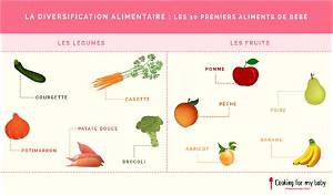 Diversification Quand Commencer Les Fruits?