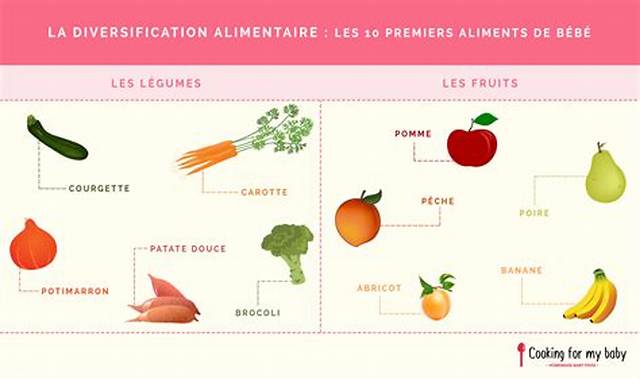 Diversification Quand Commencer Les Fruits?