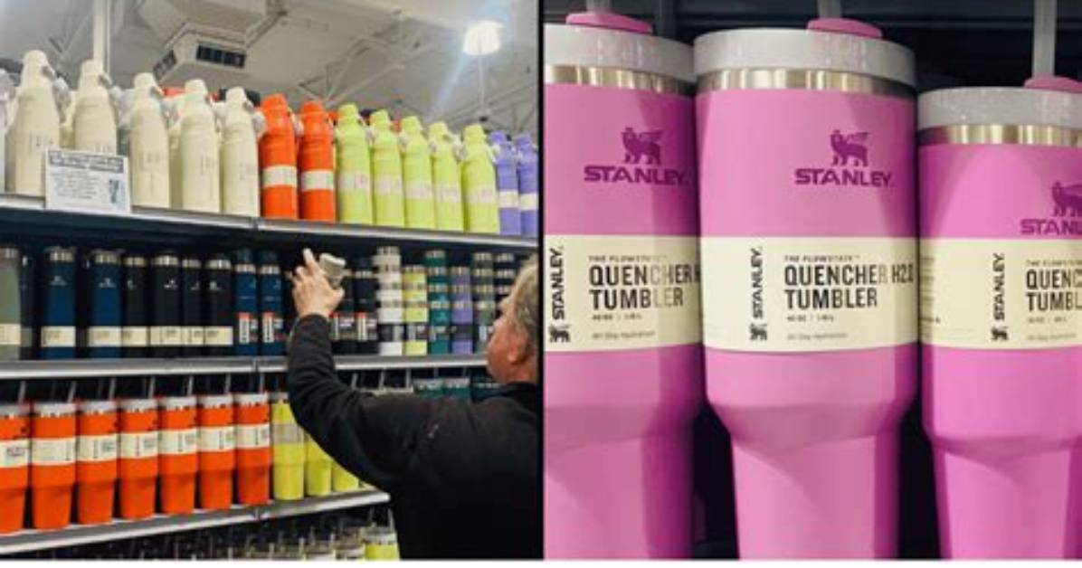 Doctor Issues Warning over How Much Water You Should Drink in a Day as Stanley Cups Surge in Popularity
