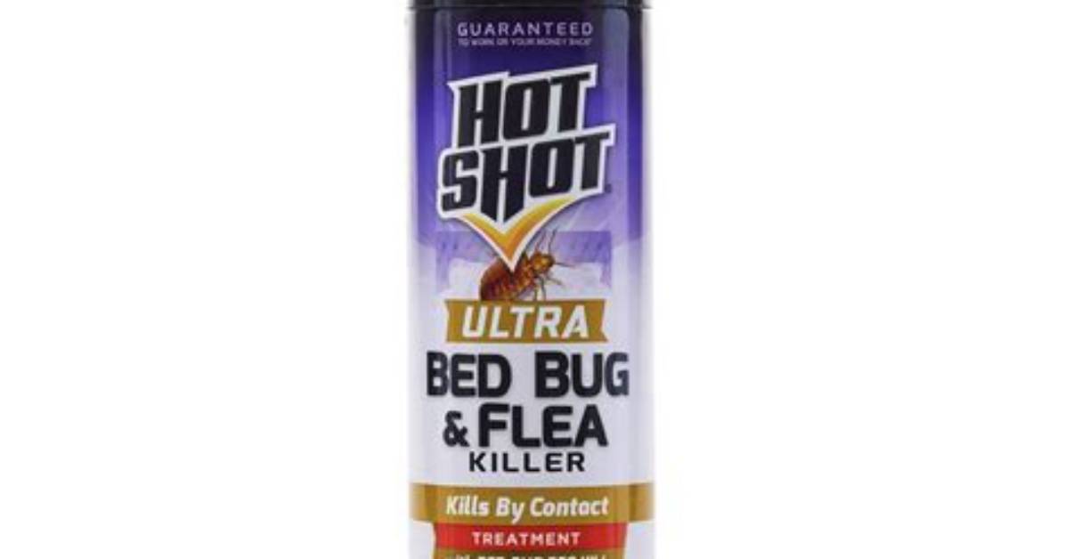 Does Hot Shot Fogger Kill Carpet Beetles?