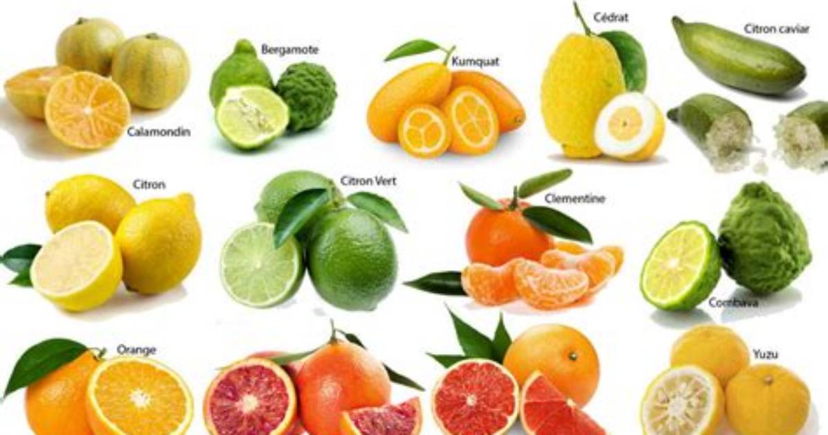 Eliminer La Peau Des Agrumes Ou D’autres Fruits?