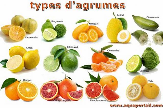 Eliminer La Peau Des Agrumes Ou D’autres Fruits?