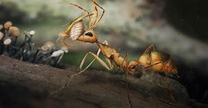 Eons | You're Living on an Ant Planet | Season 6 | Episode 5