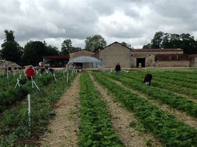 Ferme Du Chateau Chevigny Quels Fruits Ou Légumes?