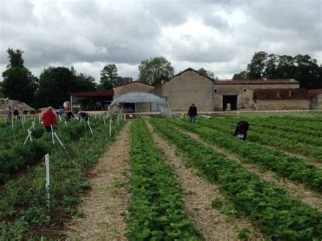Ferme Du Chateau Chevigny Quels Fruits Ou Légumes?