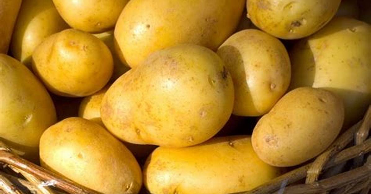 Ferme Qui Vend Des Pomme De Terre?
