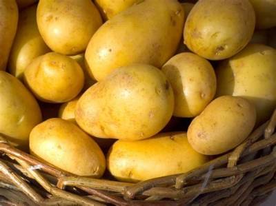 Ferme Qui Vend Des Pomme De Terre?