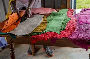 Fish Leather Is Here, It’s Sustainable – and It’s Made from Invasive Species to Boot | Invasive Species