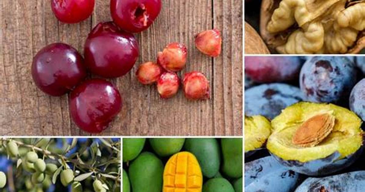 Fruits Avec P%C3%A9Pins Ou Noyau 94 400. Jpg