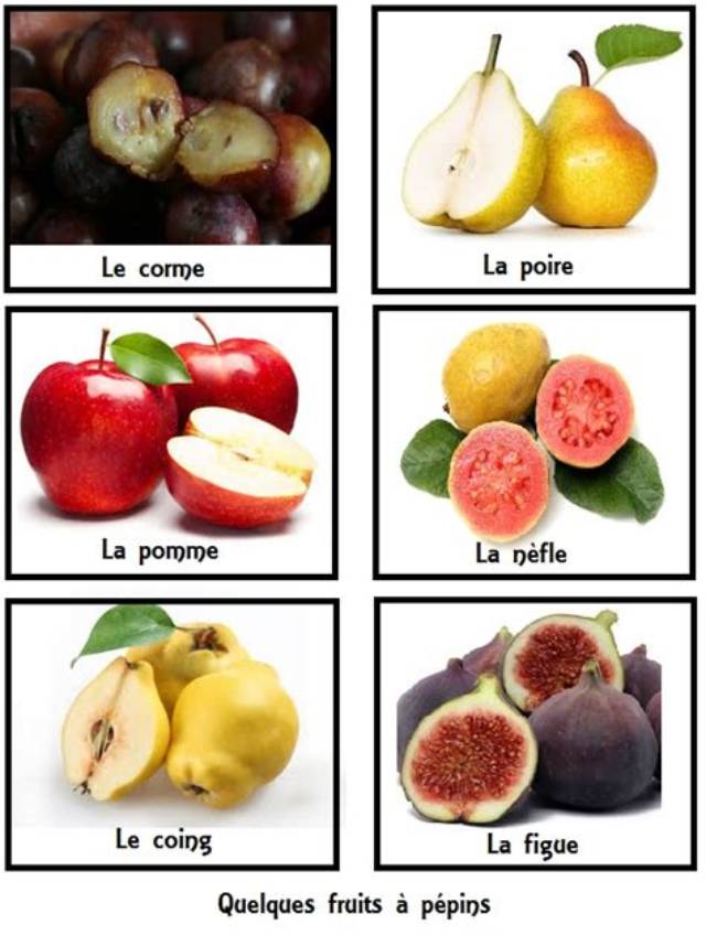 Fruits Avec Pepins Ou Noyaux?