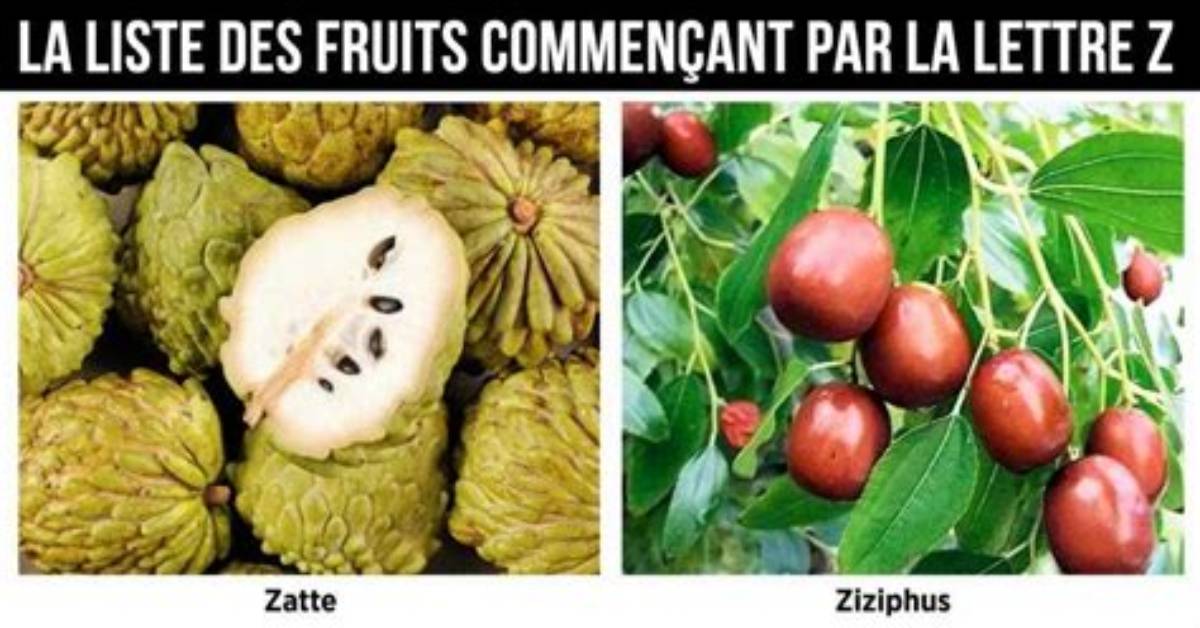 Fruits Ou L%C3%A9Gumes En Z 300. Jpg