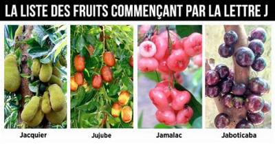 Fruits Ou Legumes Commencant Par J?