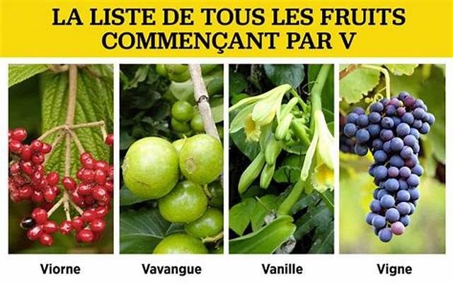 Fruits Ou Legumes Commencant Par v?