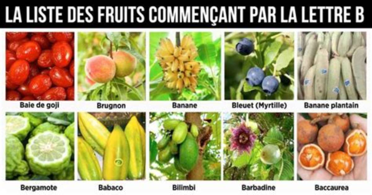 Fruits Qui Commence Par B?