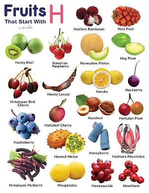 Fruits Qui Commence Par H?