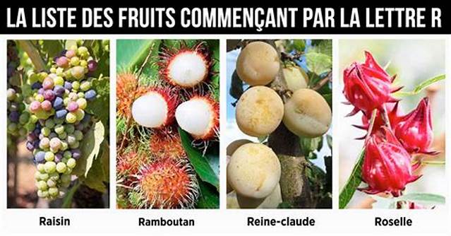 Fruits Qui Commence Par R?